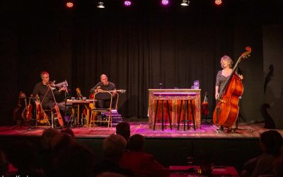 Theater ‘t Web beleeft schitterend eerste jaar